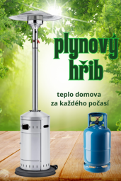hrib1709303046